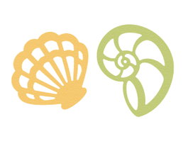 Misskuty Troquel fino ZAG Verano conchas (2 unidades)