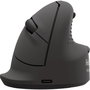 Fellowes Breyta Plus+ Ratón Ergonómico Vertical Talla L para Diestros
