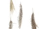 DKD Home Decor Decoración Colgante Flor Seca 52x4x122 Surtido de 2