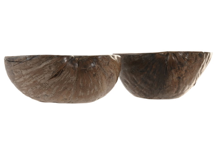 DKD Home Decor Bandeja Vaciabolsillos Coco Capiz Surtido de 2 Unidades