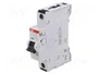 ABB S300P Interruptor Magnetotérmico 1 Polo 2A Curva C