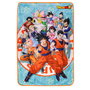 Sd Toys Europe S.L. Manta Polar Universe Survival Dragon Ball Super 100x150 cm