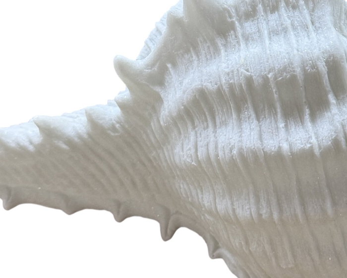 DKD Home Decor Lámpara de Sobremesa de Arenisca con Caracola, Crudo