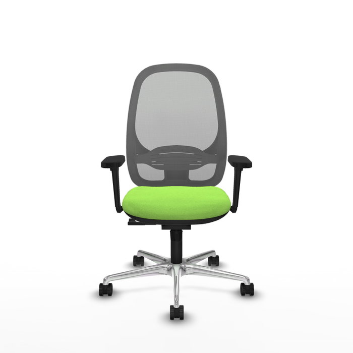 PIQUERAS Y CRESPO Silla de oficina Cilanco con mecanismo Sincro, Tela Pistacho y Malla Gris PIQUERAS Y CRESPO Silla de oficina Cilanco con mecanismo Sincro, Tela Pistacho y Malla Gris
