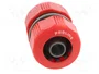 PROLINE Conector de 3/4 pulgadas