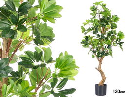 Ibergarden Maceta decorativa con planta de hojas alargadas 130 cm de alto, 60x60 cm, color verde/negro, plástico (Set de 4)