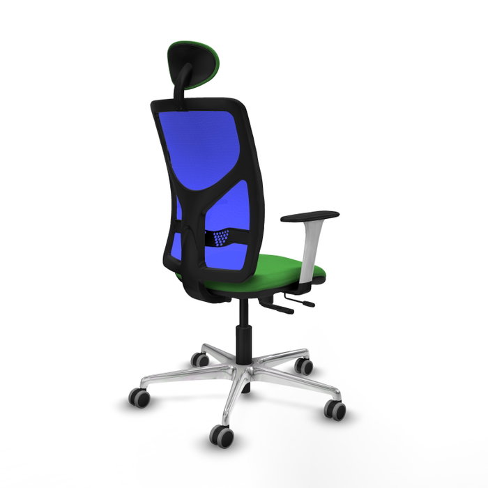 PIQUERAS Y CRESPO Silla de oficina Motilla con mecanismo Sincro/Traslack, Azul y Verde PIQUERAS Y CRESPO Silla de oficina Motilla con mecanismo Sincro/Traslack, Azul y Verde