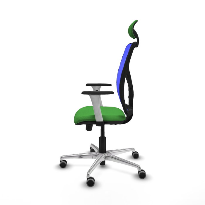 PIQUERAS Y CRESPO Silla de oficina Motilla con mecanismo Sincro/Traslack, Azul y Verde PIQUERAS Y CRESPO Silla de oficina Motilla con mecanismo Sincro/Traslack, Azul y Verde