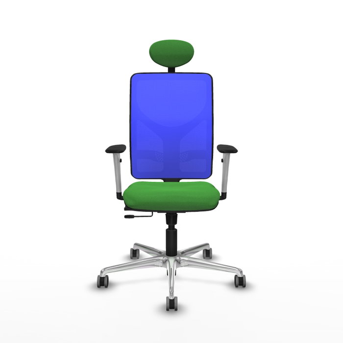 PIQUERAS Y CRESPO Silla de oficina Motilla con mecanismo Sincro/Traslack, Azul y Verde PIQUERAS Y CRESPO Silla de oficina Motilla con mecanismo Sincro/Traslack, Azul y Verde