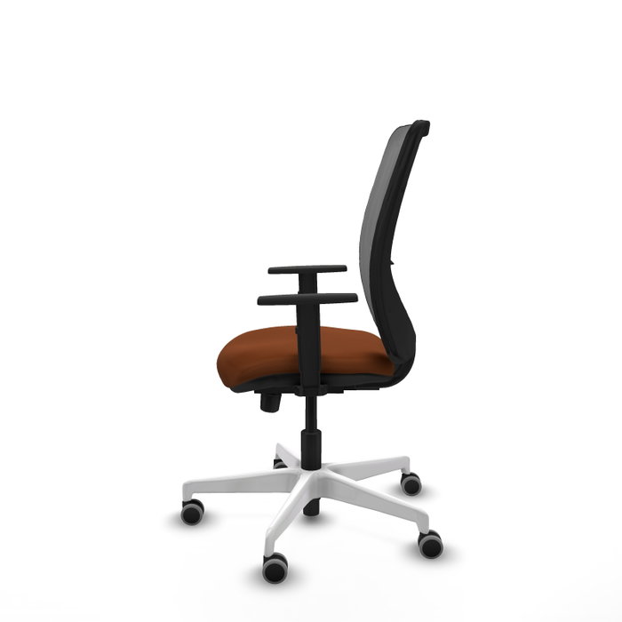 PIQUERAS Y CRESPO Silla de oficina Zulema con mecanismo Sincro/Traslack, Marrón y Gris PIQUERAS Y CRESPO Silla de oficina Zulema con mecanismo Sincro/Traslack, Marrón y Gris