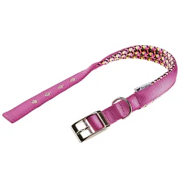 Ferplast Collar Daytona Fantasy C25 53 Rosa para Perro y Gato, Ajustable de 45-53 cm y 25 mm de Ancho