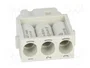 HARTING Han-Modular® Módulo Conector Hembra 40A 690V 3 Pines
