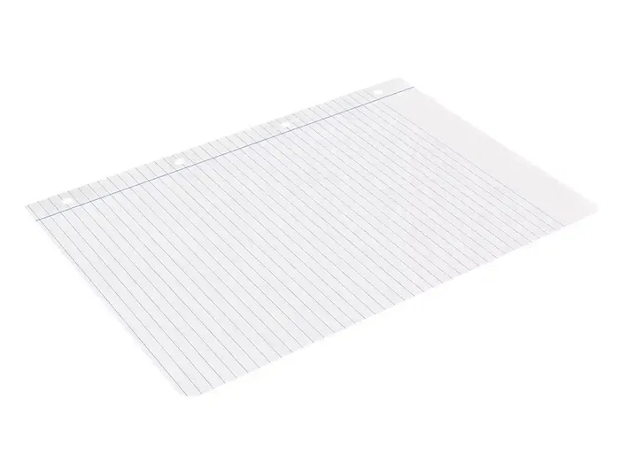 Liderpapel Recambio A4 100 Hojas 75gr Horizontal con Margen 4 Taladros