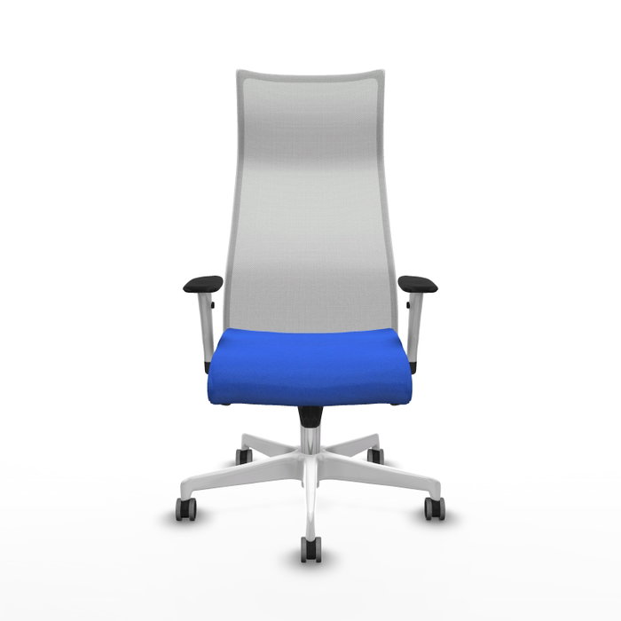 PIQUERAS Y CRESPO Sillón Albacete con Mecanismo Sincro, Tela Azul y Malla Blanca PIQUERAS Y CRESPO Sillón Albacete con Mecanismo Sincro, Tela Azul y Malla Blanca