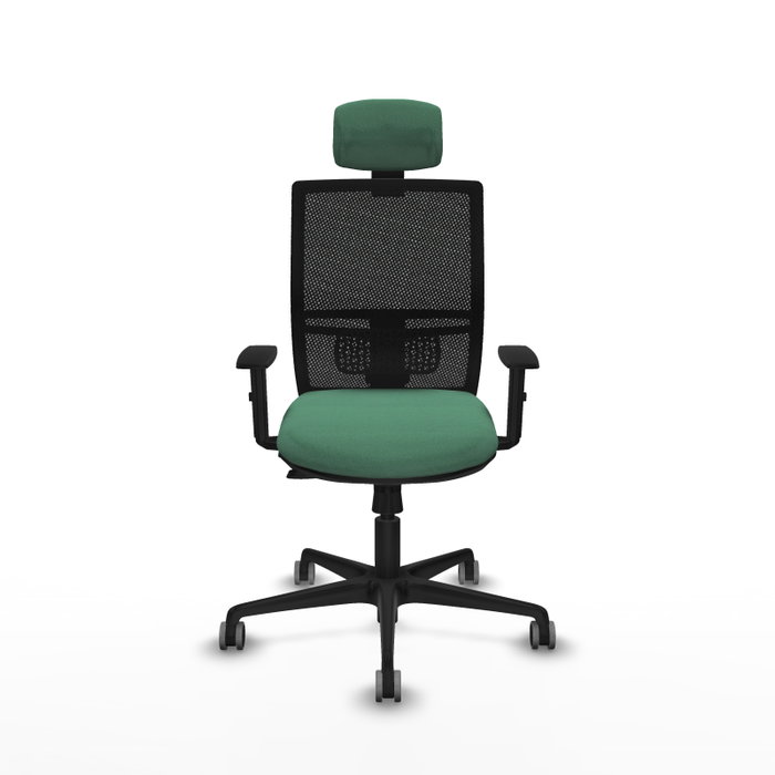 PIQUERAS Y CRESPO Silla de oficina Yunquera con mecanismo Sincro/Traslack, Verde esmeralda y Negro PIQUERAS Y CRESPO Silla de oficina Yunquera con mecanismo Sincro/Traslack, Verde esmeralda y Negro