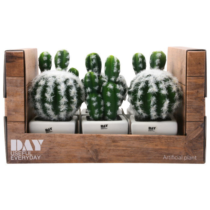 Day Cactus Artificial Maceta Plástico Mate Formas Surtidas Alto Redondo H 17 Cm H 13 Cm Maceta 7 5x7 5 Cm H 6 Cm