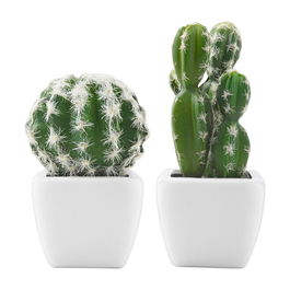 Day Cactus Artificial Maceta Plástico Mate Formas Surtidas Alto Redondo H 17 Cm H 13 Cm Maceta 7 5x7 5 Cm H 6 Cm