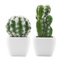 Day Cactus Artificial Maceta Plástico Mate Formas Surtidas Alto Redondo H 17 Cm H 13 Cm Maceta 7 5x7 5 Cm H 6 Cm