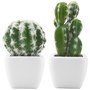 Day Cactus Artificial Maceta Plástico Mate Formas Surtidas Alto Redondo H 17 Cm H 13 Cm Maceta 7 5x7 5 Cm H 6 Cm