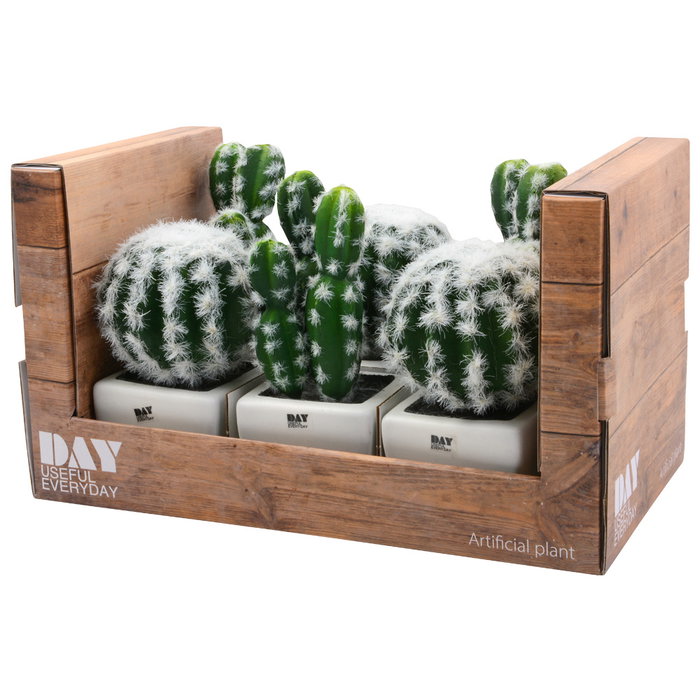 Day Cactus Artificial Maceta Plástico Mate Formas Surtidas Alto Redondo H 17 Cm H 13 Cm Maceta 7 5x7 5 Cm H 6 Cm