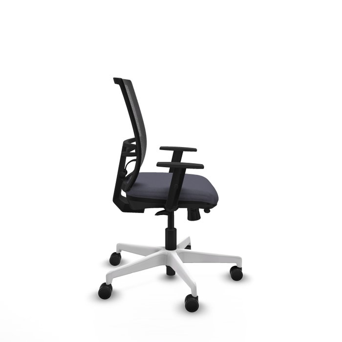 PIQUERAS Y CRESPO Silla de oficina Yunquera con mecanismo Sincro/Traslack, Gris oscuro y Negro PIQUERAS Y CRESPO Silla de oficina Yunquera con mecanismo Sincro/Traslack, Gris oscuro y Negro
