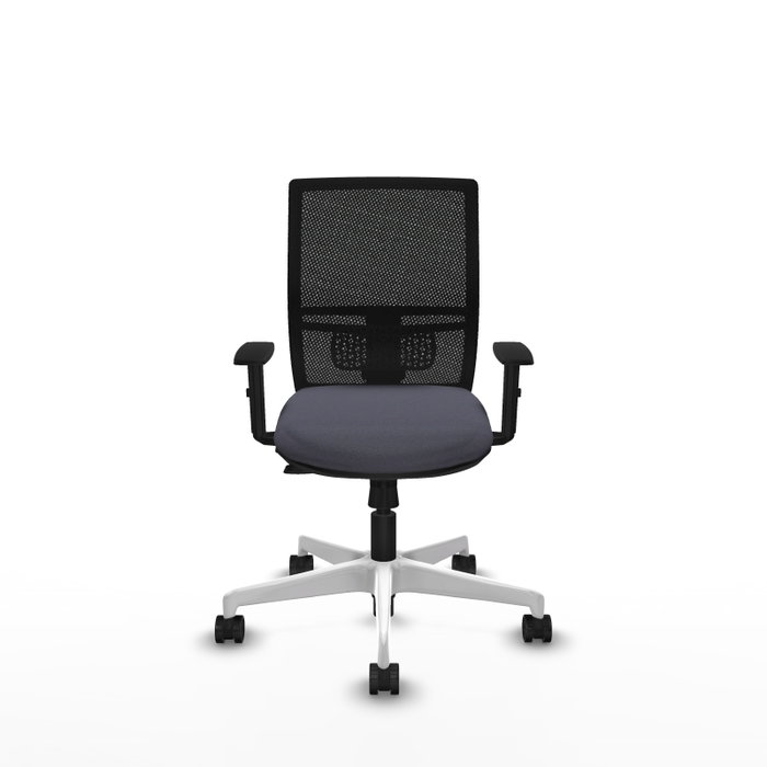 PIQUERAS Y CRESPO Silla de oficina Yunquera con mecanismo Sincro/Traslack, Gris oscuro y Negro PIQUERAS Y CRESPO Silla de oficina Yunquera con mecanismo Sincro/Traslack, Gris oscuro y Negro