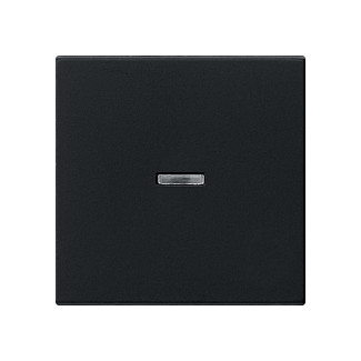 GIRA 0290005 Wippe Kontrollf. System 55 Negro GIRA 0290005 Wippe Kontrollf. System 55 Negro