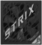 Asus ROG Strix 1000W Platinum Gaming ATX 3.1 Black/Silver