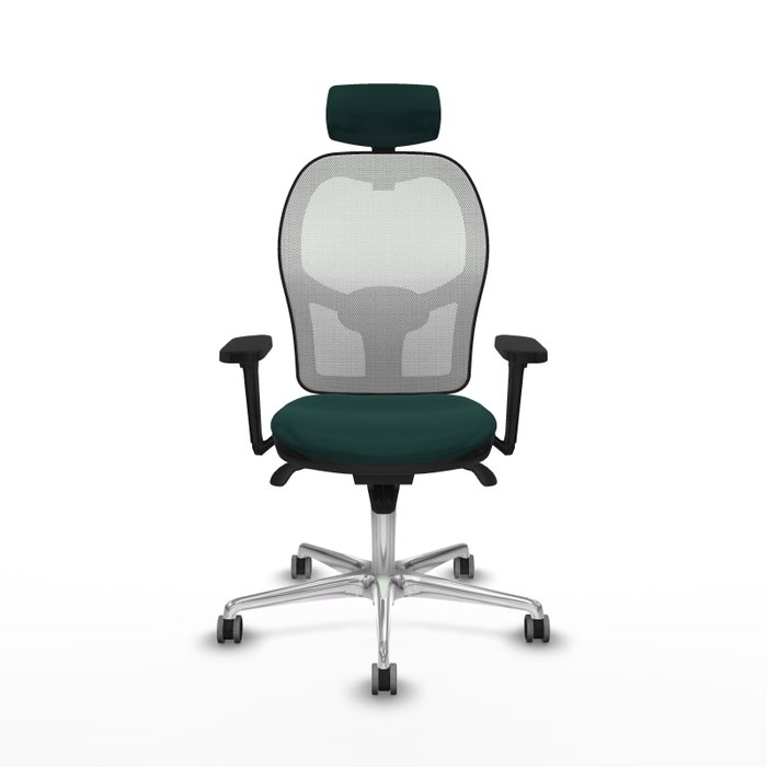 PIQUERAS Y CRESPO Silla de oficina Jorquera Verde botella y Blanco PIQUERAS Y CRESPO Silla de oficina Jorquera Verde botella y Blanco