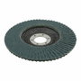 Wolfcraft Disco de láminas abrasivo ø125 mm, grano 60