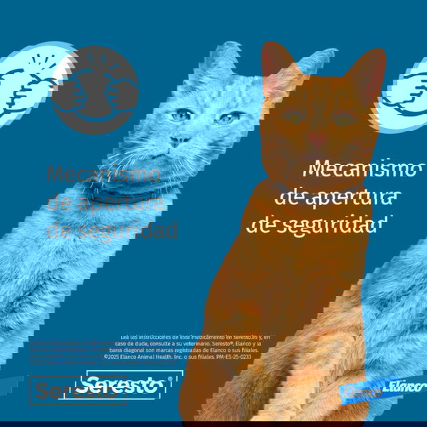 Elanco Seresto Collar Antiparasitario para Gatos, Protección contra Pulgas y Garrapatas hasta 8 Meses, 1 Unidad