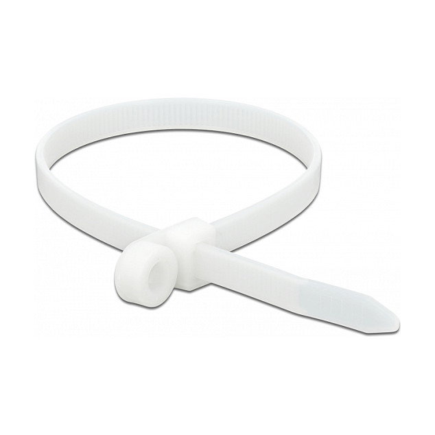 DeLOCK 18948 Brida de entrada paralela 400 x 7,6 mm Blanco