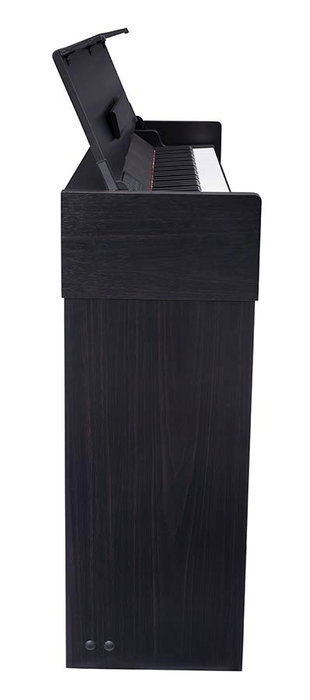 Piano de Escenario Medeli 88 Teclas Hammer Cp203/Bk