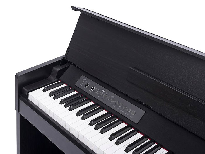 Piano de Escenario Medeli 88 Teclas Hammer Cp203/Bk