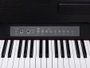 Piano de Escenario Medeli 88 Teclas Hammer Cp203/Bk