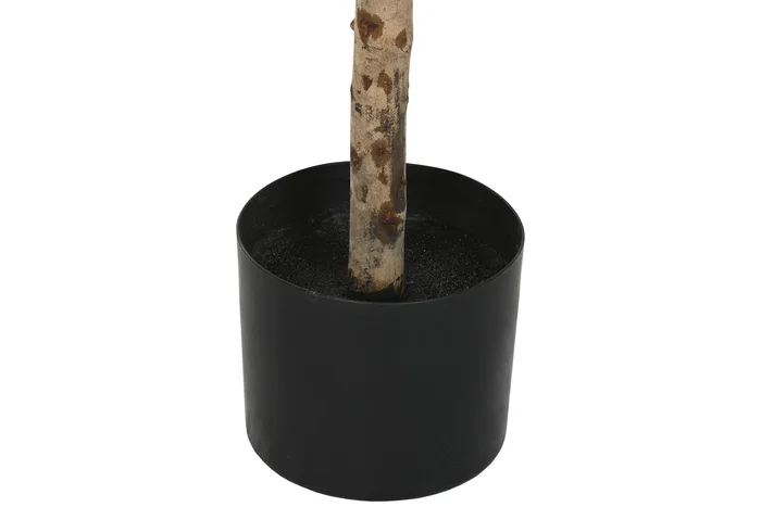 DKD Home Decor Árbol de Olivo Verde de Poliéster 60x60x120 cm