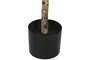 DKD Home Decor Árbol de Olivo Verde de Poliéster 60x60x120 cm