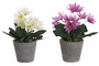 DKD Home Decor Planta Poliéster Lotus Surtido Blanco y Rosa
