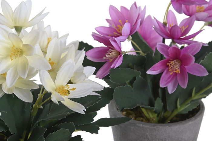 DKD Home Decor Planta Blanco Rosa Poliester Pe 8 x 18 x 8 cm (12 Unidades) DKD Home Decor Planta Blanco Rosa Poliester Pe 8 x 18 x 8 cm (12 Unidades)