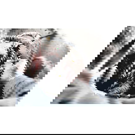 Wera 05135870001 Llave Inglesa 10x13 mm 35 Herramientas Incluida Carraca Wera 05135870001 Llave Inglesa 10x13 mm 35 Herramientas Incluida Carraca