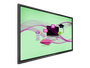 Philips Pantalla 65BDL4052E/02 Señalización Digital 65" (165.1 cm) LCD Táctil 4K Ultra HD Android 11 Wifi Negro
