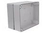 ELEKTRO-PLAST NASIELSK Carcasa Universal Industrial Gris