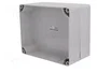 ELEKTRO-PLAST NASIELSK Carcasa Universal Industrial Gris