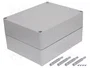 ELEKTRO-PLAST NASIELSK Carcasa Universal Industrial Gris