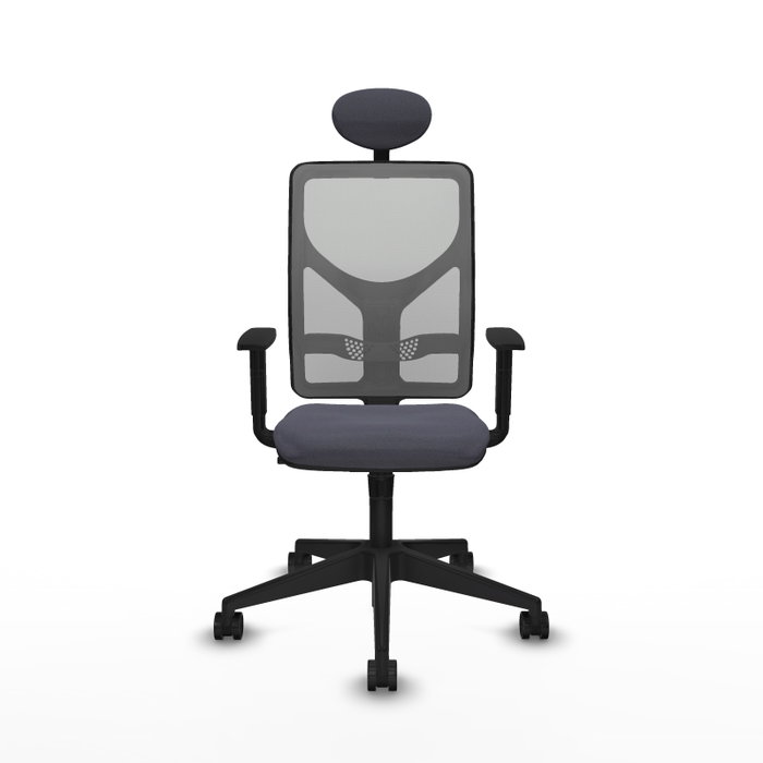 PIQUERAS Y CRESPO Silla de oficina Motilla con mecanismo Sincro, Gris oscuro/Gris PIQUERAS Y CRESPO Silla de oficina Motilla con mecanismo Sincro, Gris oscuro/Gris