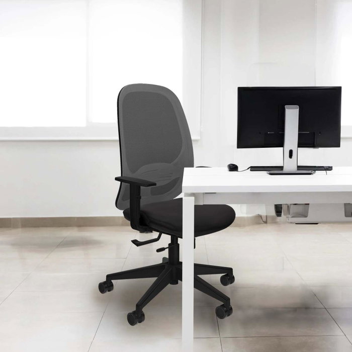 PIQUERAS Y CRESPO Silla de oficina Cilanco con mecanismo Sincro/Traslack, Gris claro y Negro PIQUERAS Y CRESPO Silla de oficina Cilanco con mecanismo Sincro/Traslack, Gris claro y Negro