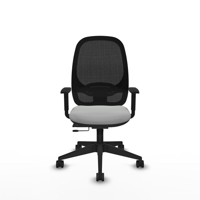 PIQUERAS Y CRESPO Silla de oficina Cilanco con mecanismo Sincro/Traslack, Gris claro y Negro PIQUERAS Y CRESPO Silla de oficina Cilanco con mecanismo Sincro/Traslack, Gris claro y Negro