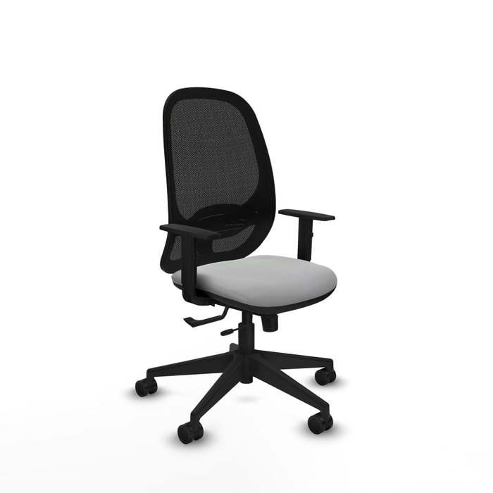 PIQUERAS Y CRESPO Silla de oficina Cilanco con mecanismo Sincro/Traslack, Gris claro y Negro PIQUERAS Y CRESPO Silla de oficina Cilanco con mecanismo Sincro/Traslack, Gris claro y Negro