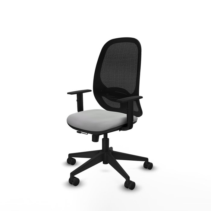 PIQUERAS Y CRESPO Silla de oficina Cilanco con mecanismo Sincro/Traslack, Gris claro y Negro PIQUERAS Y CRESPO Silla de oficina Cilanco con mecanismo Sincro/Traslack, Gris claro y Negro