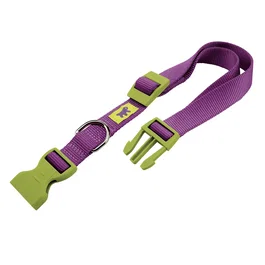 Ferplast Collar Club C20 56 Col para Perro - Collar Ajustable de Nylon Púrpura